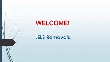 Best Office Removals In Lower Walton GIF