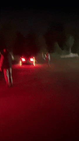 Bmw GIF