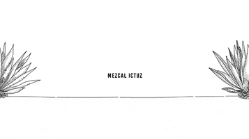Jump Mexico GIF by Mezcal Ictuz