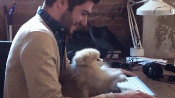 working from home GIF