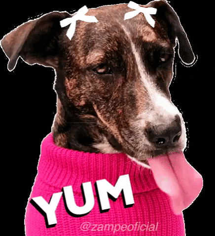 Dog Tongue GIF by ZAMPE pet apparel