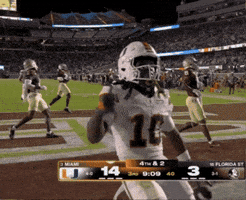 Miami Hurricanes GIF