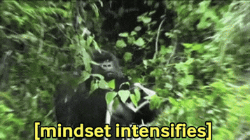 Gorilla Mindset GIF