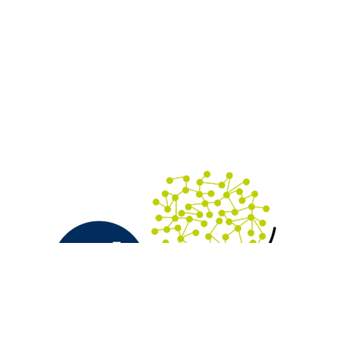 Righi Elettroservizi Sticker