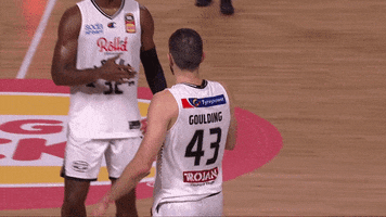 Chris Goulding GIF by Melbourne United