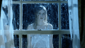 Window Rain GIFs - Find & Share on GIPHY