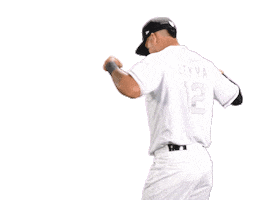 Baseball Sticker by Guerreros de Oaxaca