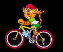 Gatão Utilidades GIF