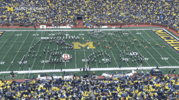 Michigan Football Win GIF by Michigan Marching and Athletic Bands