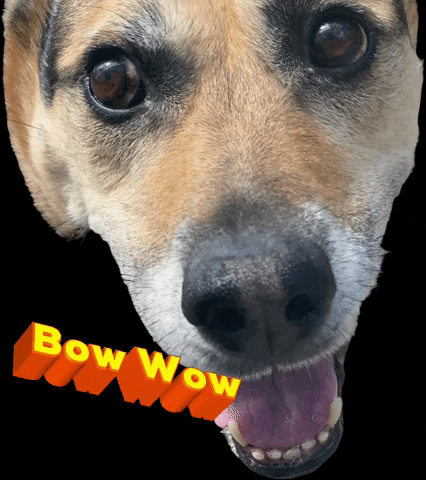 Bow Wow GIF by Paws Around Motown