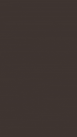 caveman  GIF