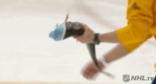 Cat-hockey GIFs - Get the best GIF on GIPHY