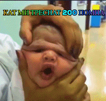 Феш GIF