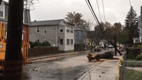 Nor'easter Winds Bring Damage to Cambridge