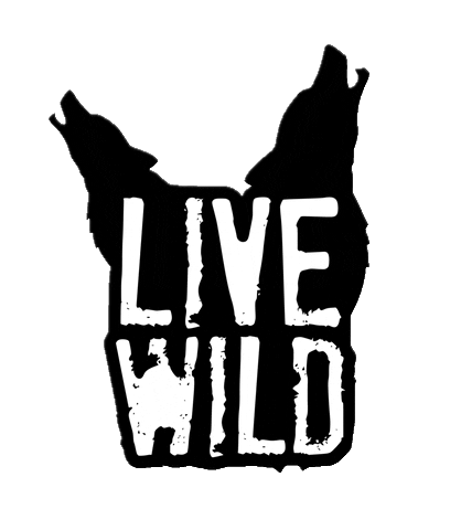 Live GIF by Soliści #dreamsintomemories