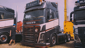 Holland Style GIF