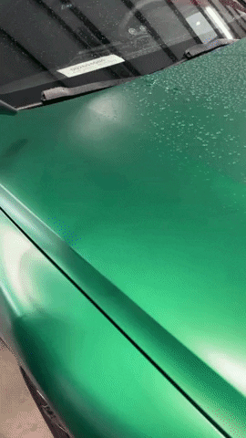 iXexotics GIF