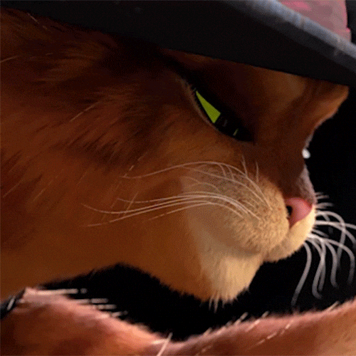 Animation Shrek GIF by Puss In Boots Find & Share on GIPHY