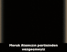 Chp Akp GIF