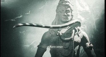 Shiv Shankar Har Har Mahadev GIF