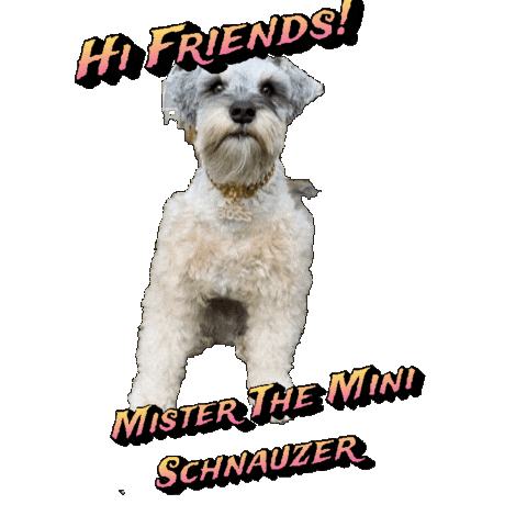Cute Dog Mister Sticker