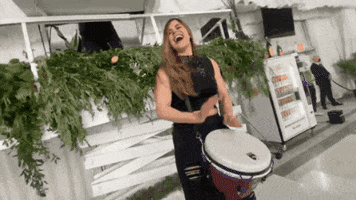 Crystalpercussion drummer bongos djembe percussionist GIF