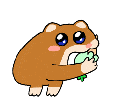 Meme GIF