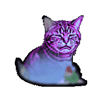 Sad Cat Sticker by lilianstolk