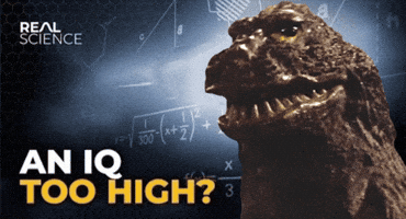 King Kong Vs Godzilla GIF