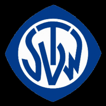 Tsvwendlingen1920 Tsvwendlingen Tsvw Wendlingen Fussball GIF by TSV Wendlingen 1920 e.V.