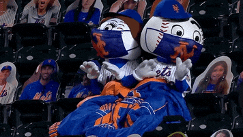 Blanket Love GIF by New York Mets