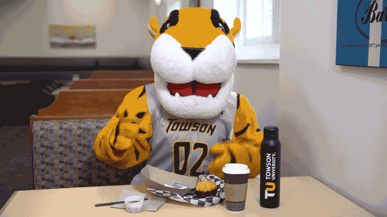 Fun College GIF by Towson University - Find & Share on GIPHY