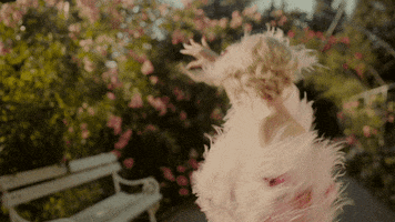 Happy House Party GIF by Anja Kotar