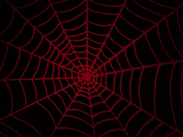 Spider Web GIFs - Find & Share on GIPHY