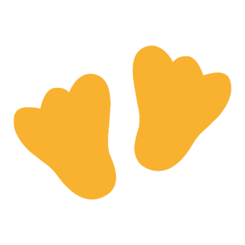 Sticker by Duckfeet USA