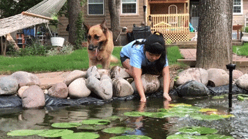 FortWorthWater funny dog water nope GIF