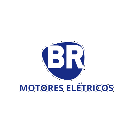 Br Motores Elétricos Sticker