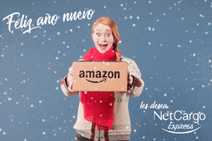 Netcargo Express GIF