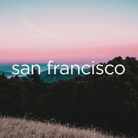 San Francisco Holiday GIF by Virgin Atlantic