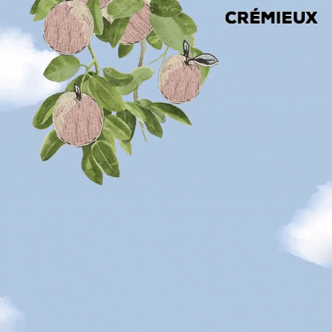 Cremieux funny fashion summer brand GIF