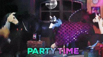 skintdressagedaddy party horse disco horses GIF