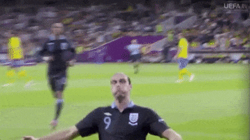 Sliding Euro 2012 GIF by UEFA
