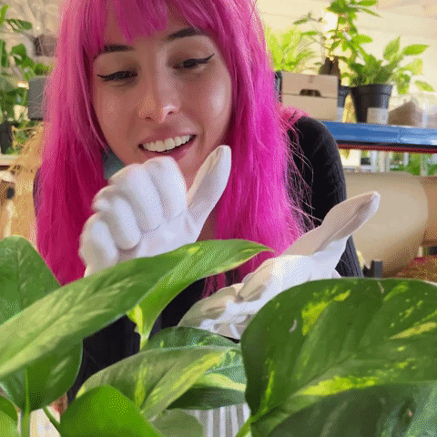 Take Care Pink Hair GIF by feey.pflanzen