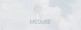 Meduse GIF