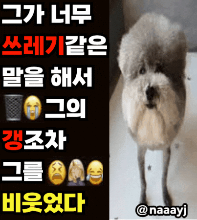 Instagram Statement GIF