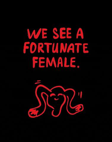 chammi GIF