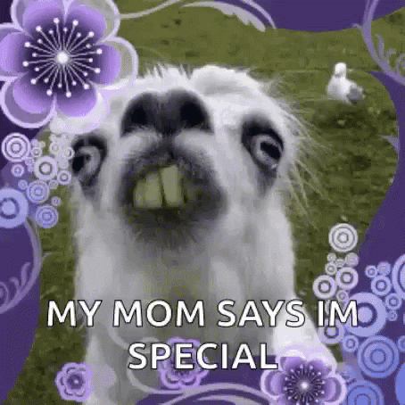 Special GIFs - Get the best GIF on GIPHY