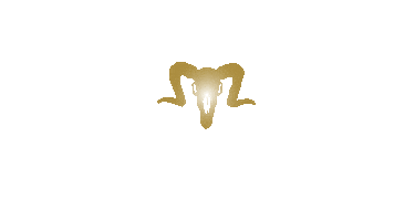 Fitness Gym Sticker by SelfTurn