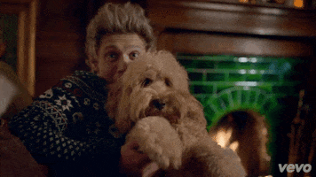 music video 1d GIF by Vevo