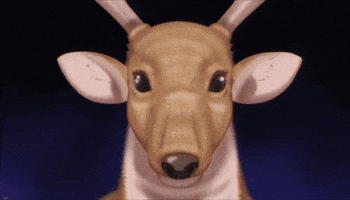 Deer GIF